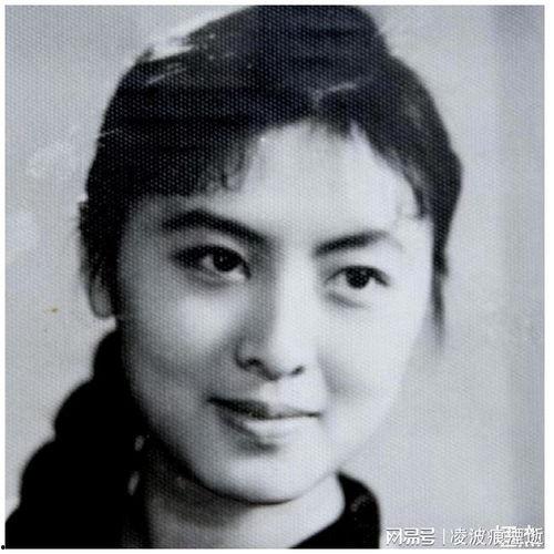 电影演员杨丽坤,光影中的传奇佳人