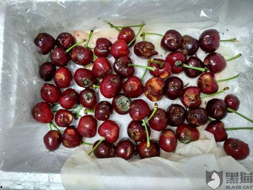 黑樱桃图片