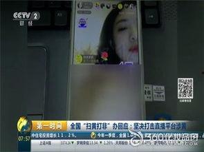 老虎直播 郑州女主播,魅力四射，人气飙升